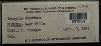 Image Associated With the Occurence